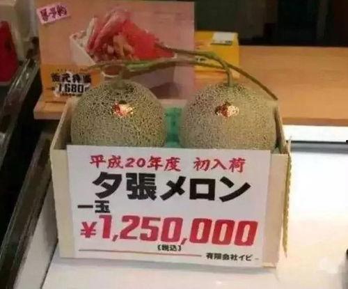 各种娱乐吃瓜图,揭秘明星们的幕后吃瓜大作战